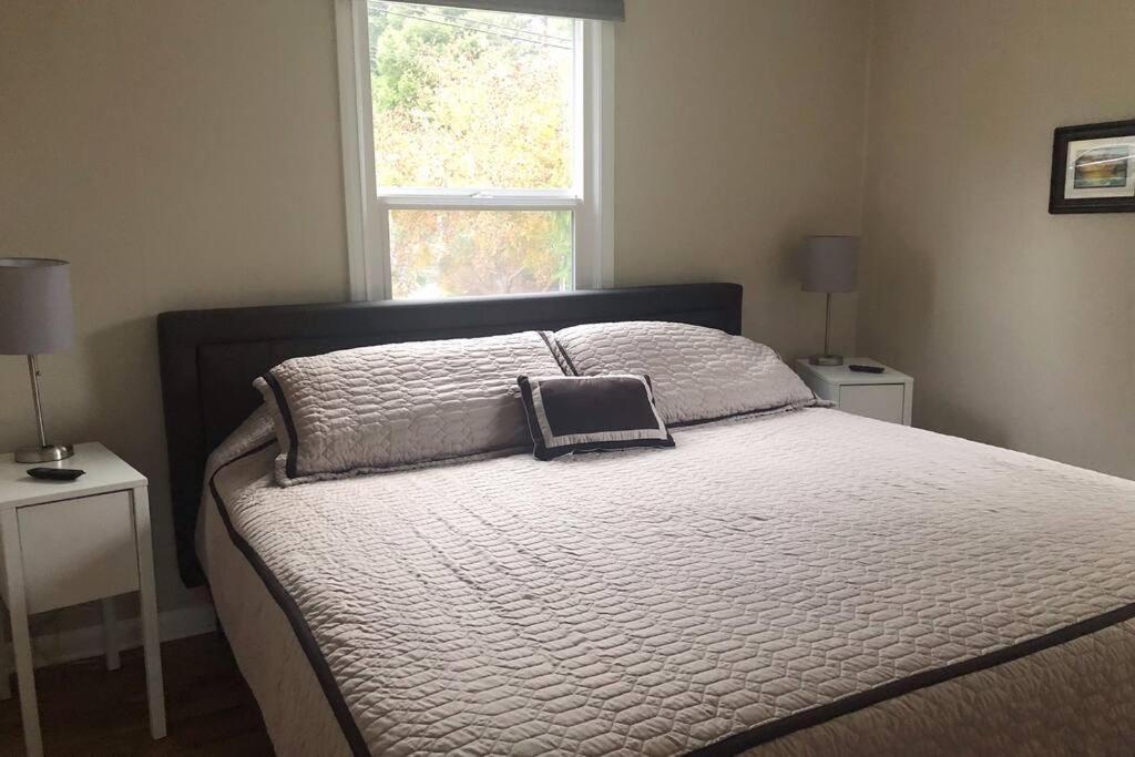 Cozy Crown Hill Carkeek Cottage W/3 Beds, Full Kitchen & Backyard In North Seattle Exteriör bild